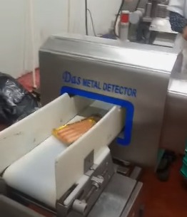 Conveyor Metal Detector (Frozen Food)