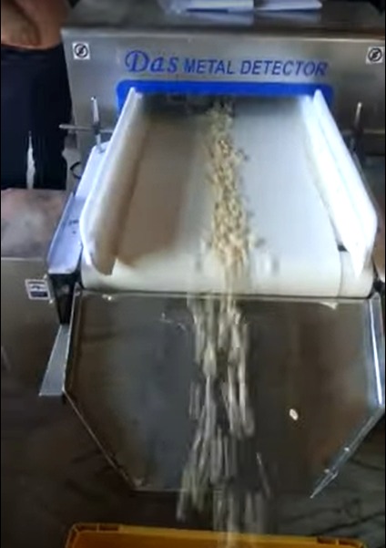 Conveyor Metal Detector (Dry Fruits in Loose)